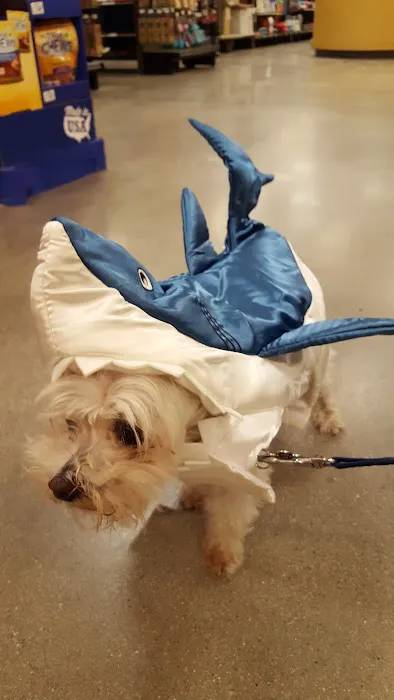 Petco Picture 7