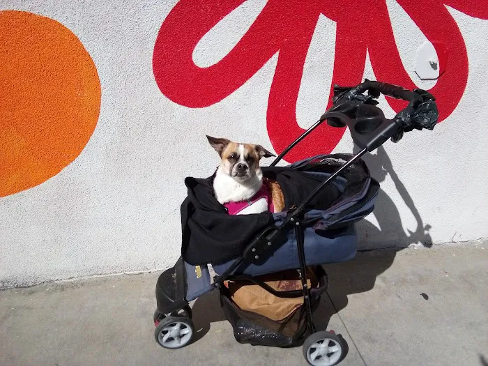 Petco Picture 10