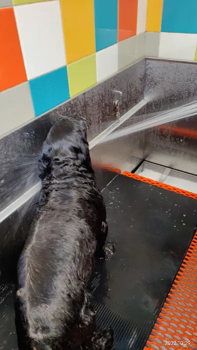 Unleashed by Petco Picture 1