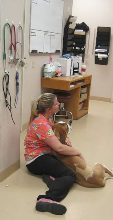 Stonecrest Animal Hospital Picture 3