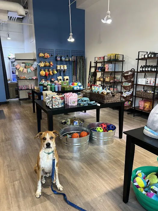 Woof Santa Monica Picture 1