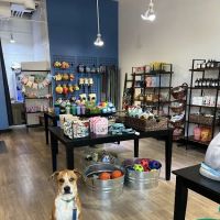 Woof Santa Monica ico