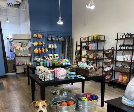Woof Santa Monica