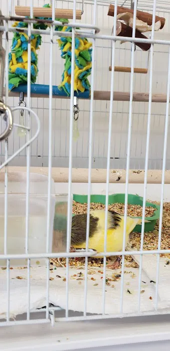 Birds & More Picture 1
