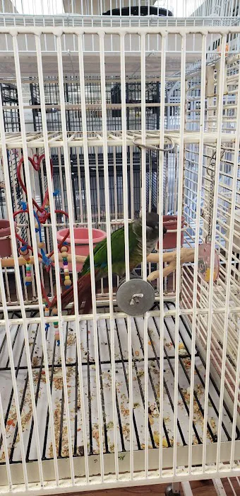 Birds & More Picture 2