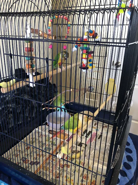 Birds & More Picture 5