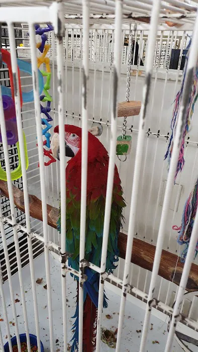 Birds & More Picture 8
