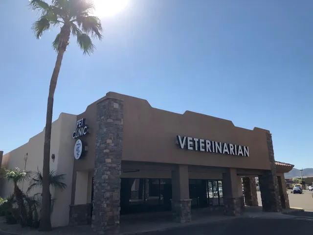 Companion Pet Clinic of North Phoenix Picture 2