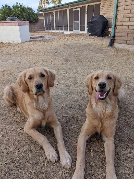 Companion Pet Clinic of North Phoenix Picture 10