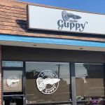Golden Guppy Aquarium