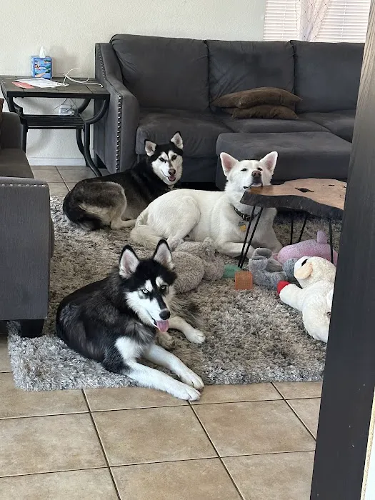 Sun City Animal Hospital Picture 3