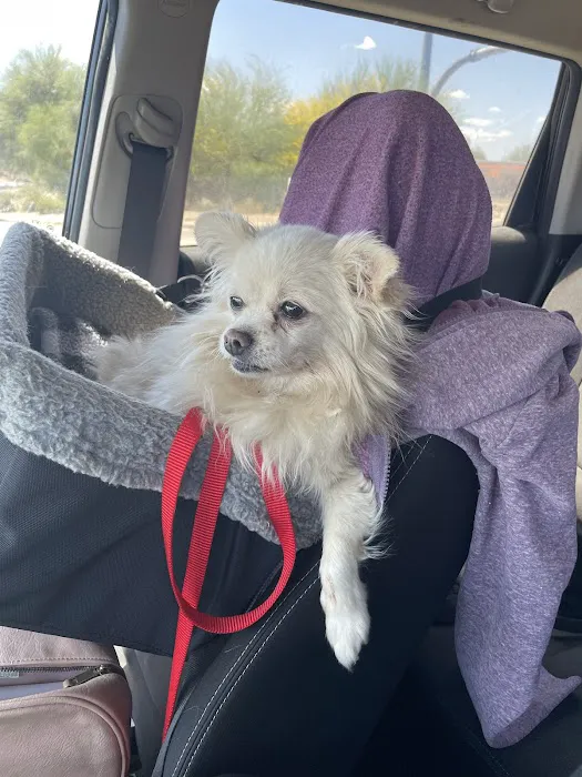 Sun City Animal Hospital Picture 9