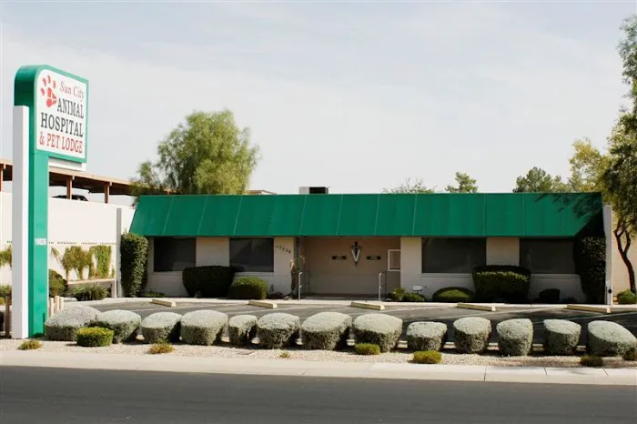 Sun City Animal Hospital Picture 10