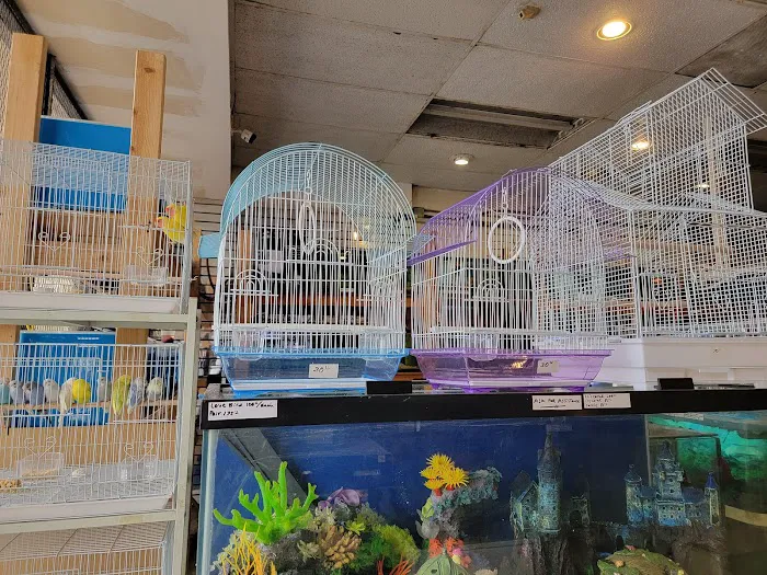 Atlantic Tropical Aquarium Picture 4