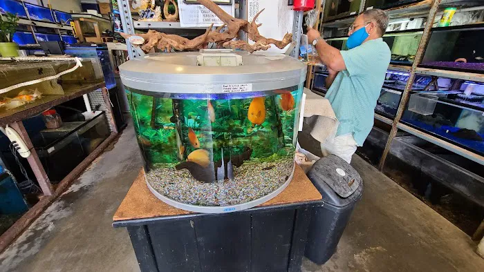 Atlantic Tropical Aquarium Picture 7