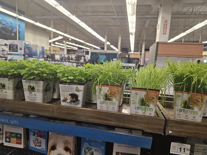Petco Picture 8