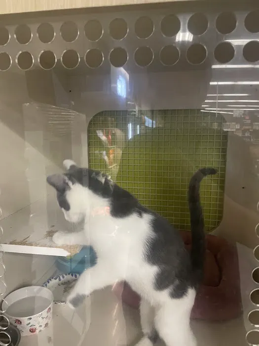 Petco Picture 9