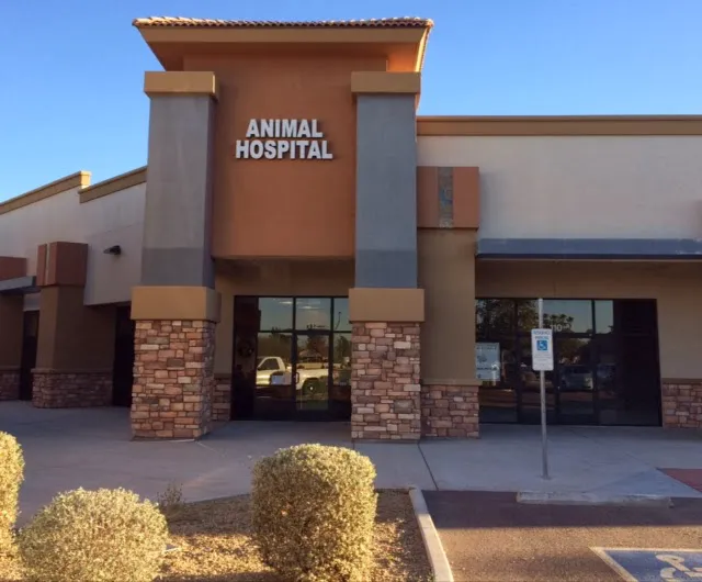 Desert Sky Animal Hospital Picture 5
