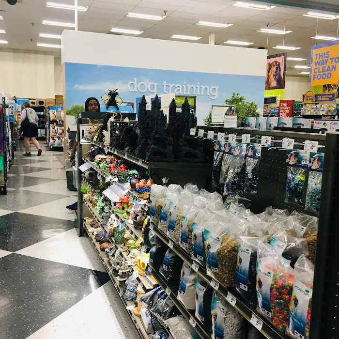Petco Picture 2