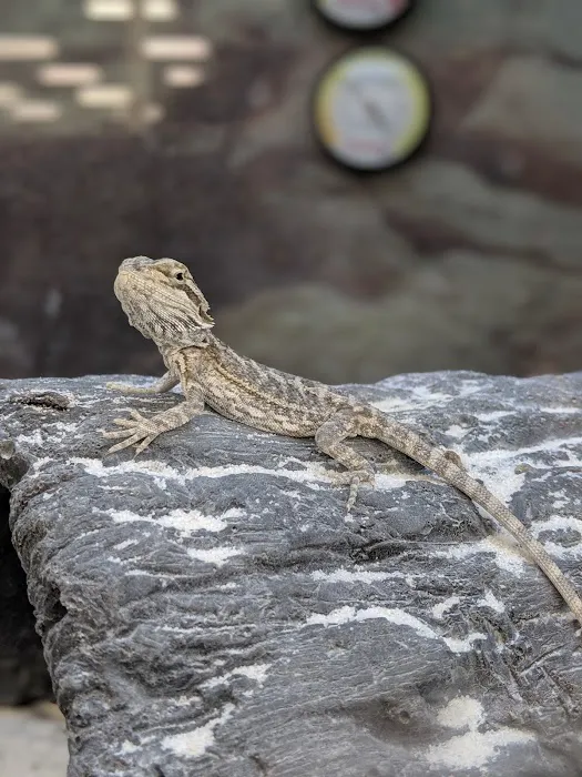 Petco Picture 7