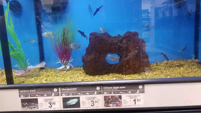 Petco Picture 6