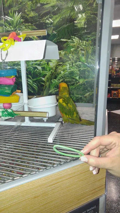 Petco Picture 9