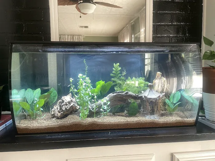 Hacienda Aquatics Picture 1