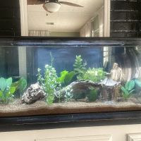 Hacienda Aquatics ico
