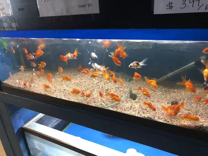 Hacienda Aquatics Picture 5