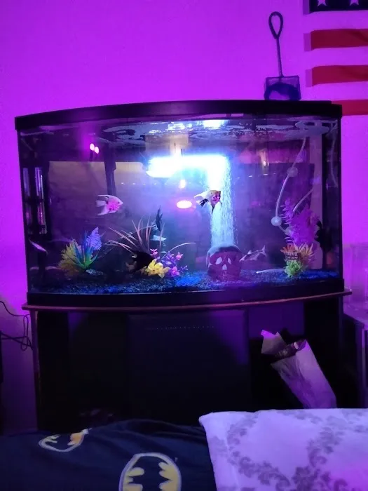 Hacienda Aquatics Picture 7