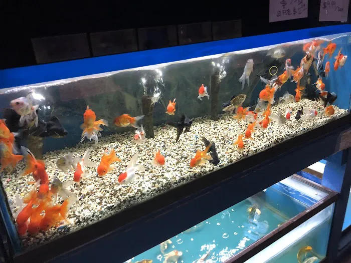 Hacienda Aquatics Picture 8