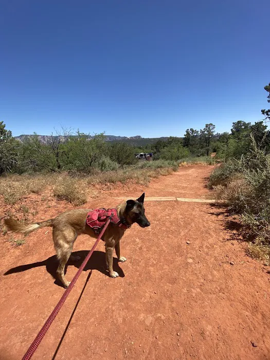 Desert Hills Animal Hospital Picture 5