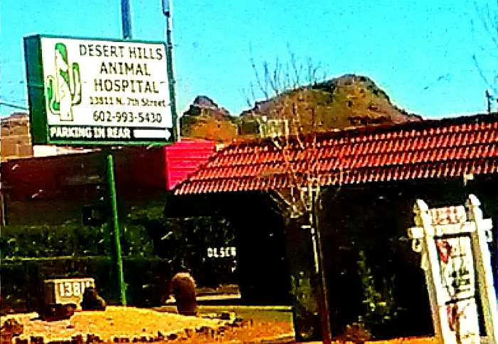 Desert Hills Animal Hospital Picture 6