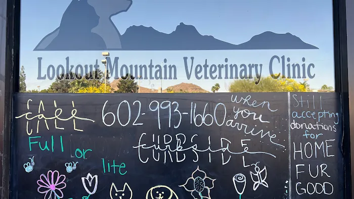 Lookout Mountain Veterinary Clinic Picture 10
