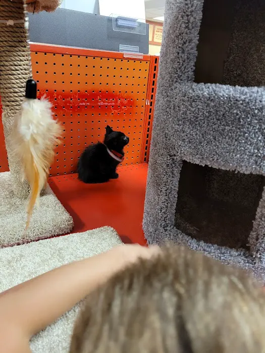 Petco Picture 3
