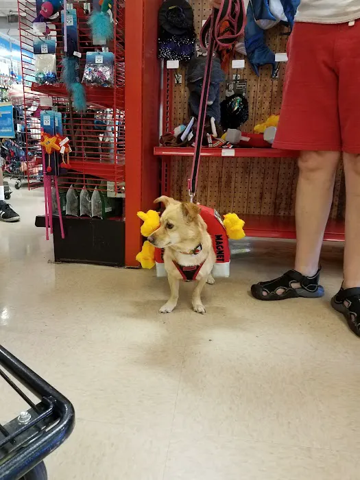 Petco Picture 5