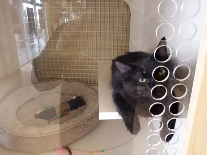 Petco Picture 9