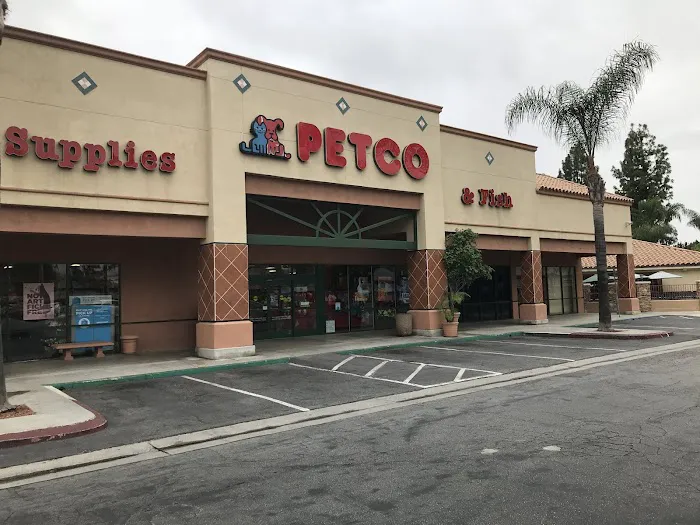 Petco Picture 8