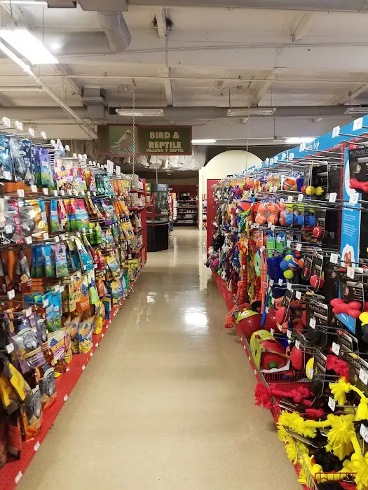 Petco Picture 7