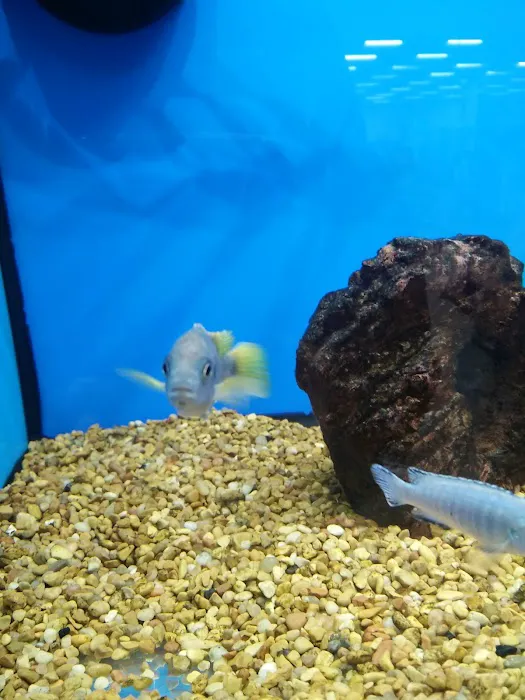 Petco Picture 8