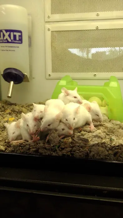 Petco Picture 4