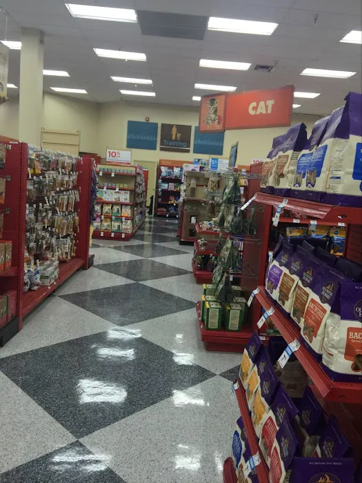 Petco Picture 7