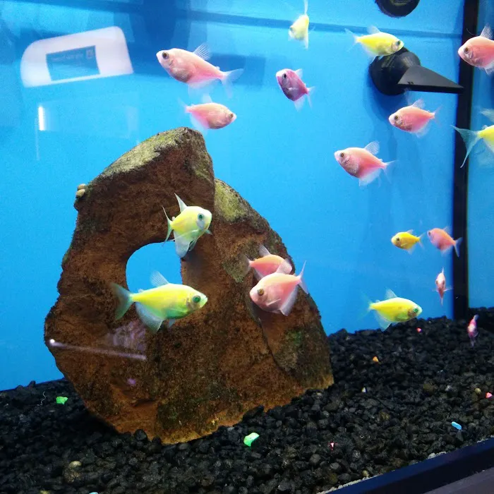 Petco Picture 10