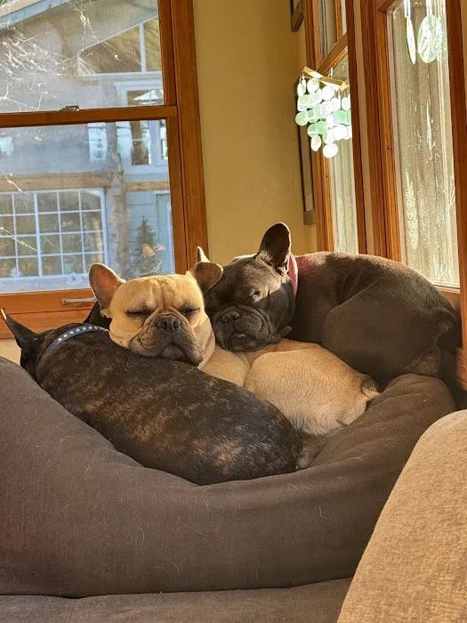 Union Hills Animal Hospital Picture 8