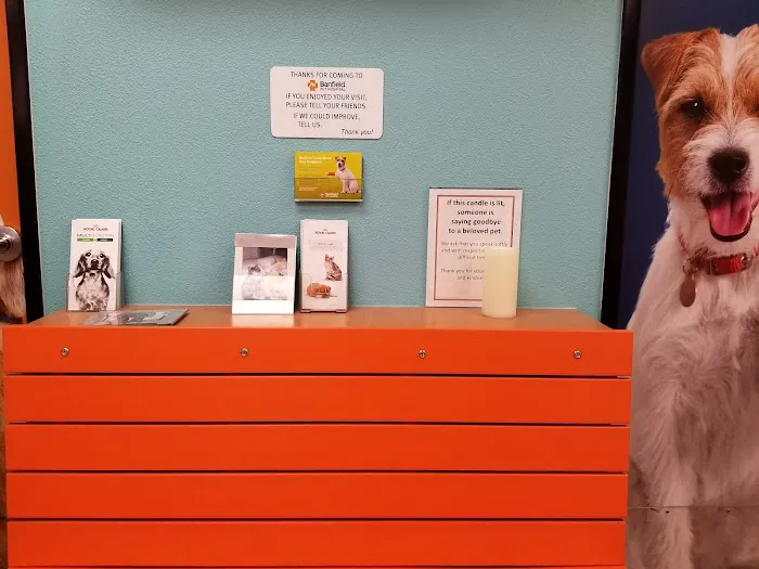 Banfield Pet Hospital Picture 7