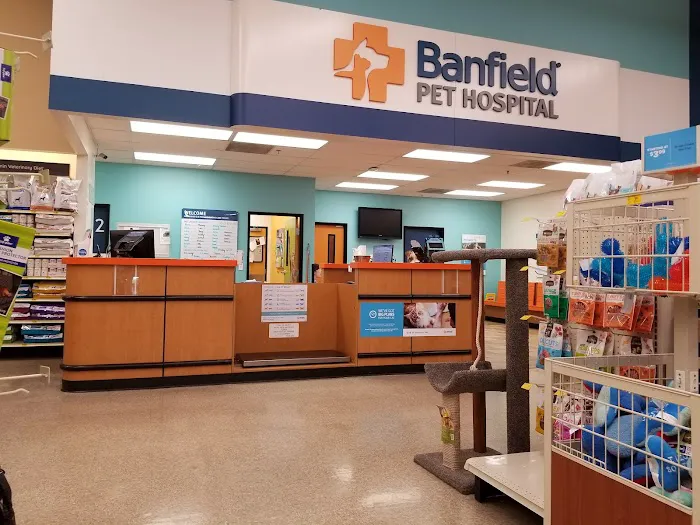Banfield Pet Hospital Picture 6