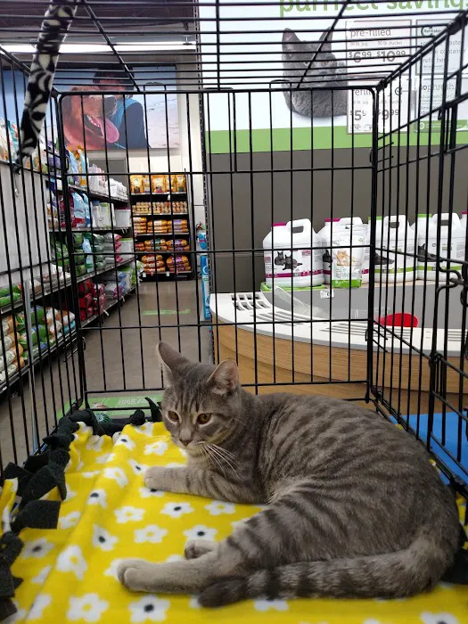 Petco Picture 4
