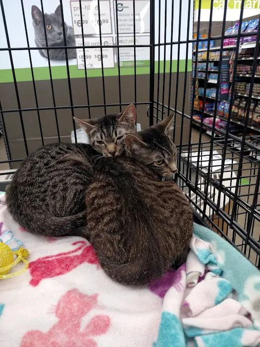 Petco Picture 5