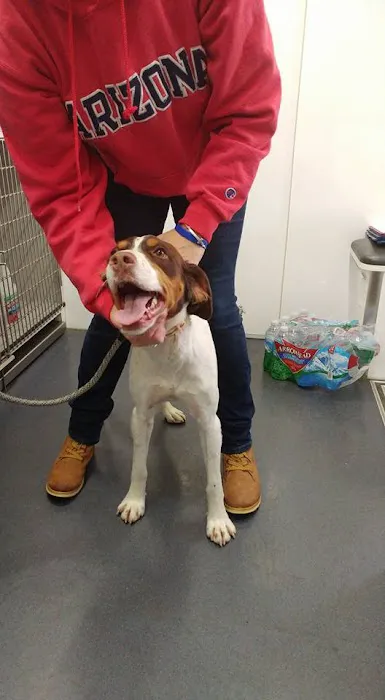 Valet Vet Mobile Veterinary Services Picture 7