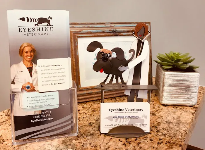 Eyeshine Veterinary Picture 5